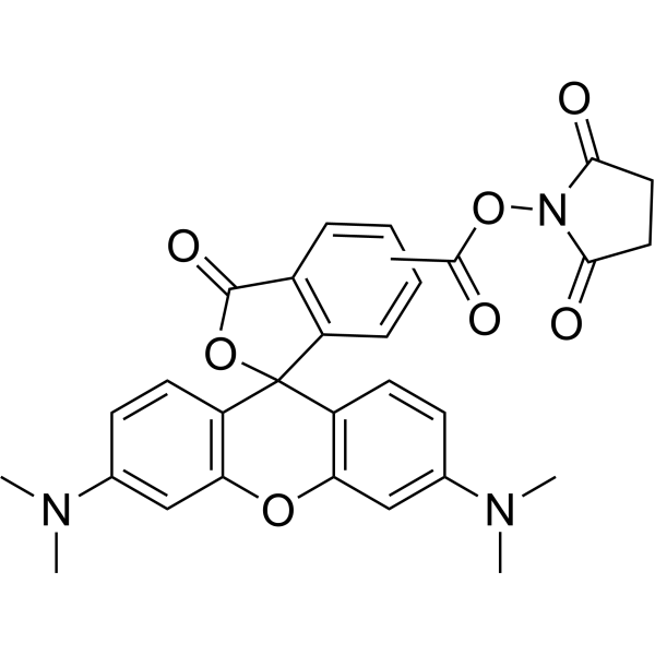 NHS-5(6)Carboxyrhodamine 150408-83-6